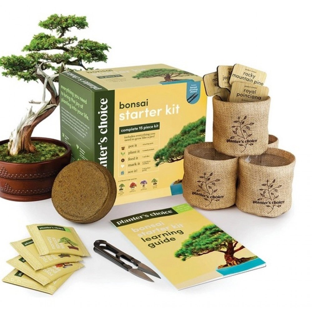 New Bonsai Starter Kit